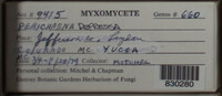 Image Associated With the Occurence